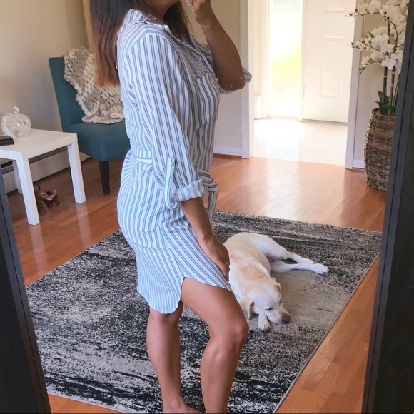 CASSI Striped collard dress - Picture 4 of 7